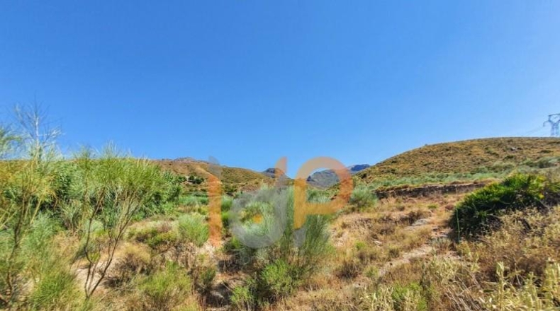 Almería - Turre - 135660m2