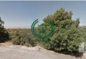 Land suitable for development for sale on España, Valdeaveruelo, ref: TR122879 photo
