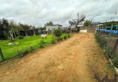Casa de camp amb terreny en venda a la España, Los Palacios y Villafranca, ref.: TR302709 foto