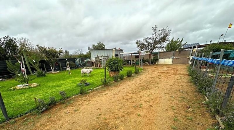 Sevilla - Los Palacios y Villafranca - 700m2