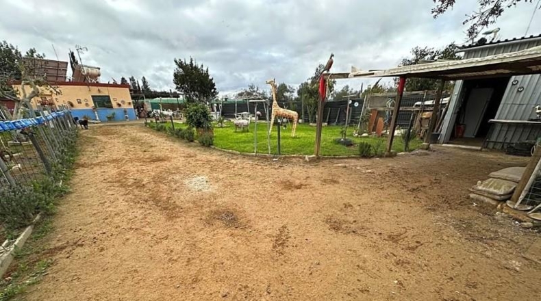 Sevilla - Los Palacios y Villafranca - 700m2