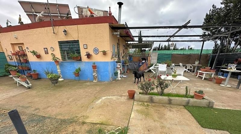 Sevilla - Los Palacios y Villafranca - 700m2
