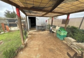 Casa de camp amb terreny en venda a la España, Los Palacios y Villafranca, ref.: TR302709 foto