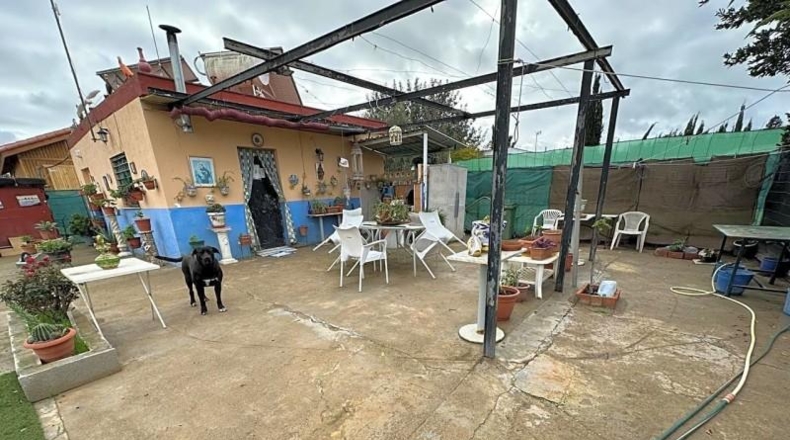 Sevilla - Los Palacios y Villafranca - 700m2