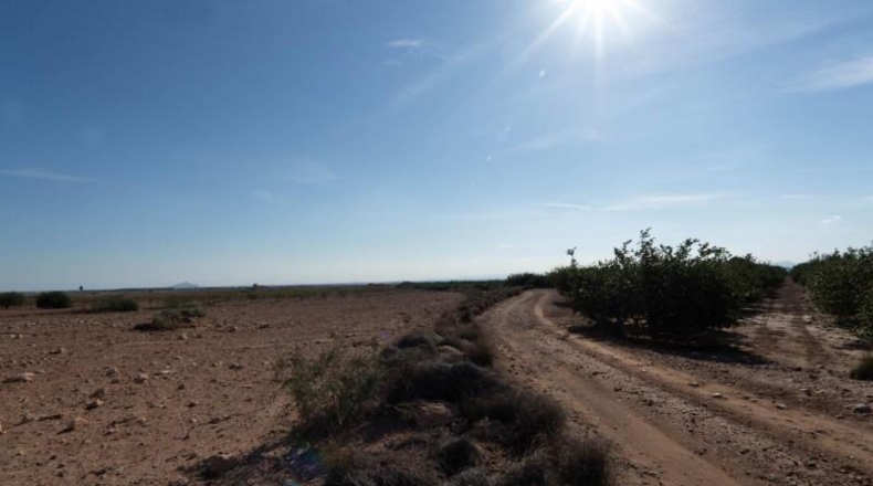 Murcia - Murcia - 32737m2