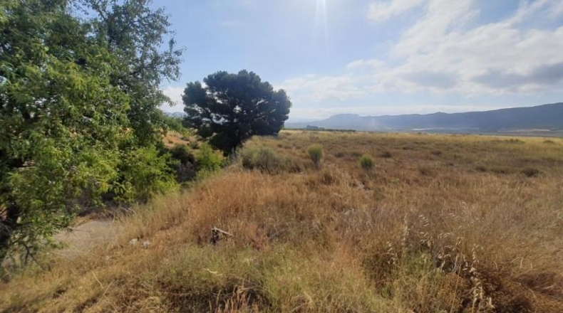 Alicante - Salinas - 25322m2
