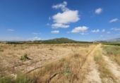 Terreny no urbanitzable en venda a la España, Salines, ref.: TR118015 foto