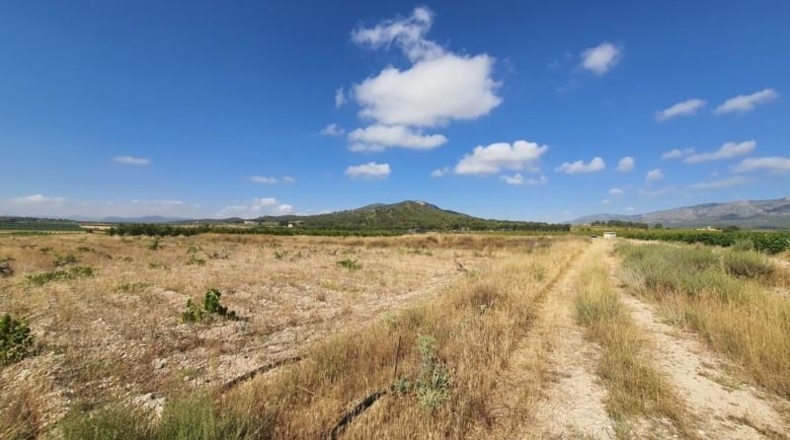 Alicante - Salinas - 25322m2
