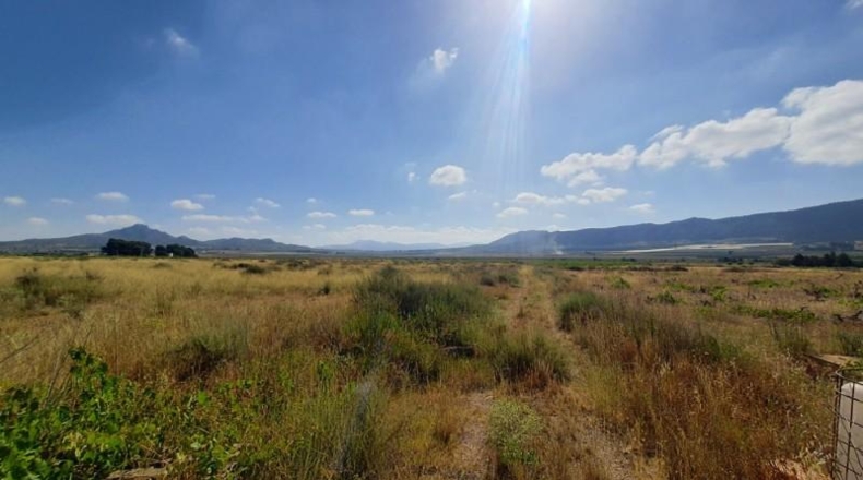 Alicante - Salinas - 25322m2