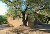 Casa de camp amb terreny en venda a la España, Roquetes, ref.: TR301161 foto