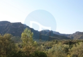 Casa de camp amb terreny en venda a la España, Roquetes, ref.: TR301161 foto