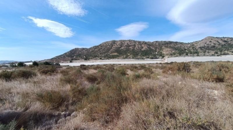 Alicante - Novelda - 27791m2