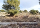 Terreno no urbanizable en venta en la España, Novelda, ref: TR121437 foto