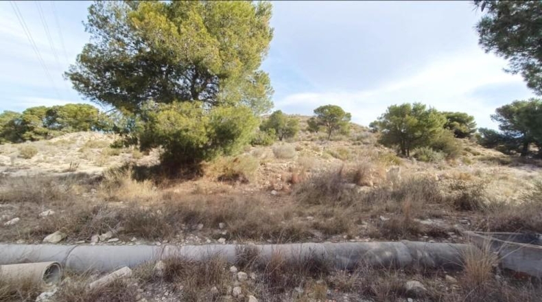 Alicante - Novelda - 27791m2