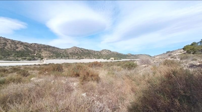 Alicante - Novelda - 27791m2