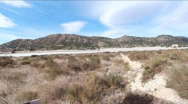 Alicante - Novelda - 27791m2