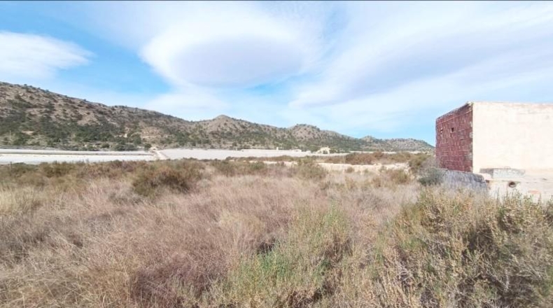 Alicante - Novelda - 27791m2