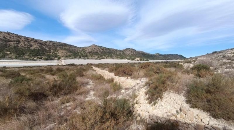 Alicante - Novelda - 27791m2