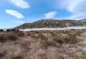 Terreno no urbanizable en venta en la España, Novelda, ref: TR121437 foto