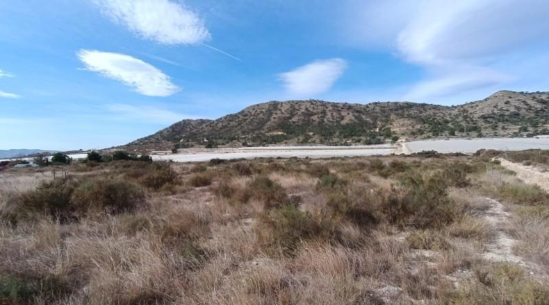 Alicante - Novelda - 27791m2