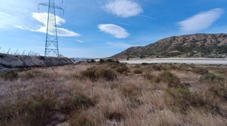 Alicante - Novelda - 27791m2