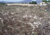 Terreny no urbanitzable en venda a la España, Oriola, ref.: TR112681 foto