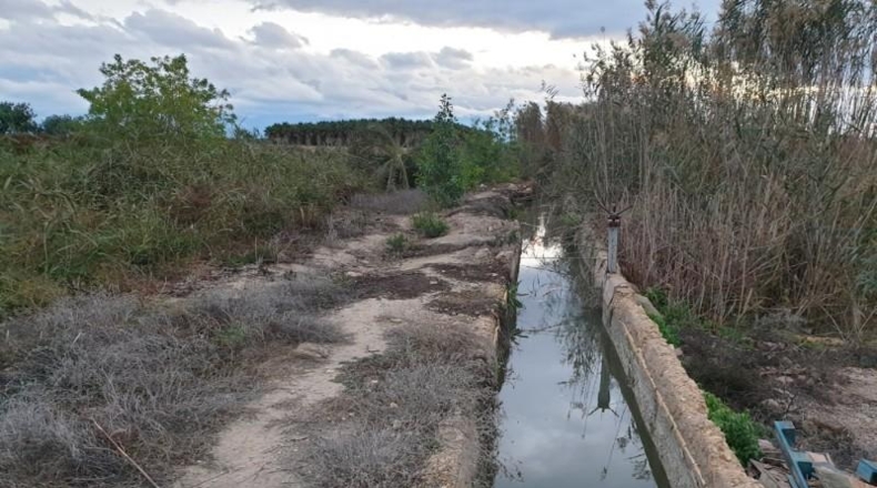 Alicante - Elche - 16m2