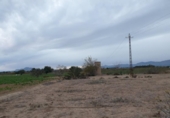 Terreny no urbanitzable en venda a la España, Elx, ref.: TR115708 foto