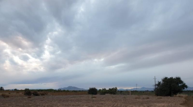 Alicante - Elche - 16m2