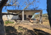 Non-developable land for sale on España, Ulldecona, ref: TR345628 photo