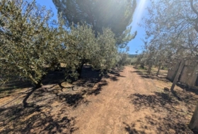 Foto 20