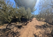 Non-developable land for sale on España, Ulldecona, ref: TR345628 photo