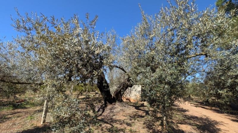 Tarragona - Ulldecona - 90m2