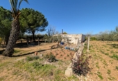 Non-developable land for sale on España, Ulldecona, ref: TR345628 photo