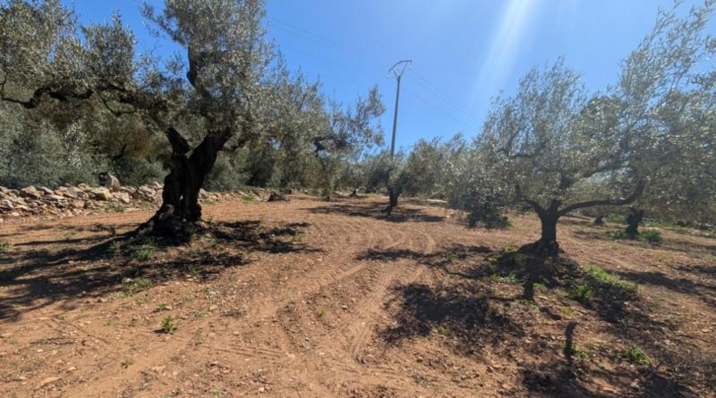 Tarragona - Ulldecona - 90m2