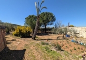 Non-developable land for sale on España, Ulldecona, ref: TR345628 photo