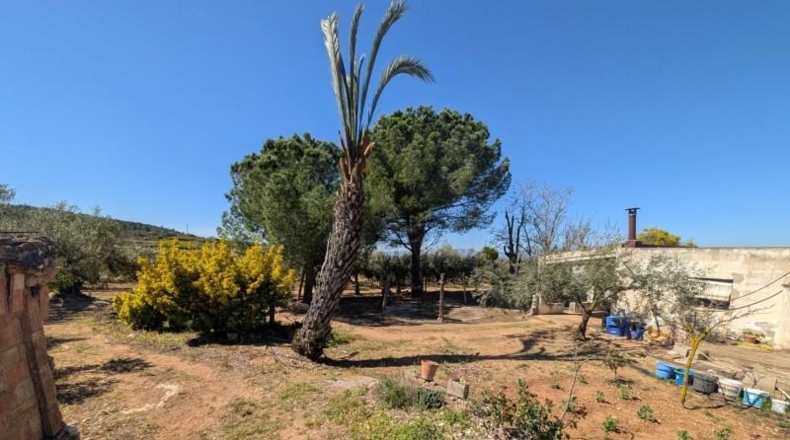 Tarragona - Ulldecona - 90m2