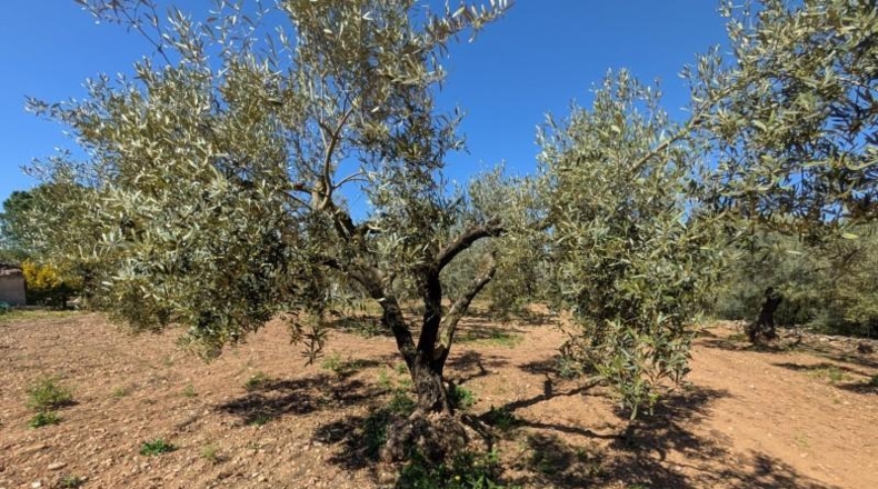 Tarragona - Ulldecona - 90m2