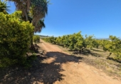 Non-developable land for sale on España, Ulldecona, ref: TR345628 photo