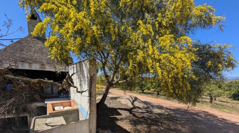 Tarragona - Ulldecona - 90m2