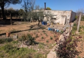 Non-developable land for sale on España, Ulldecona, ref: TR345628 photo