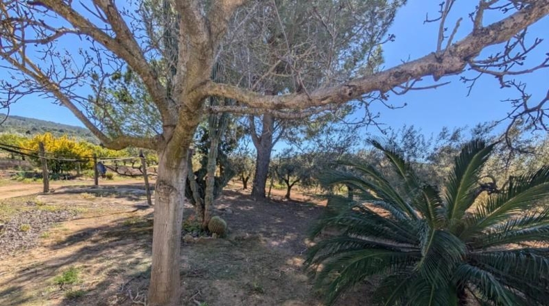Tarragona - Ulldecona - 90m2
