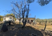 Non-developable land for sale on España, Ulldecona, ref: TR345628 photo
