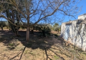 Non-developable land for sale on España, Ulldecona, ref: TR345628 photo