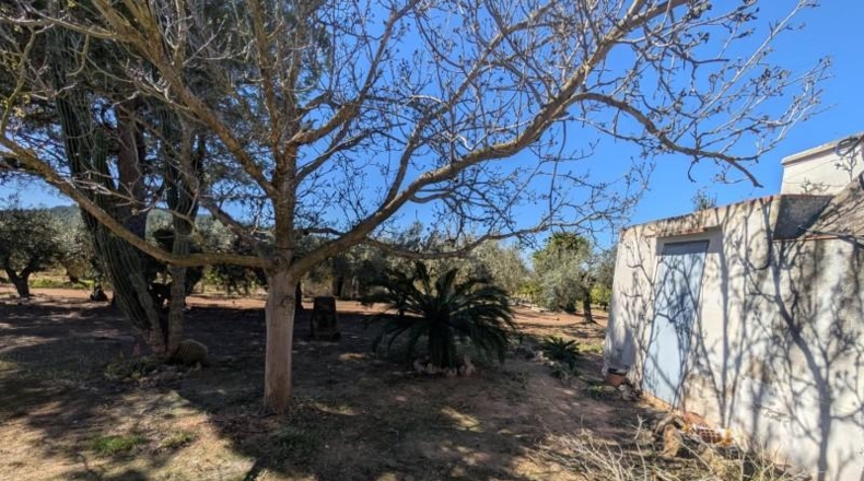 Tarragona - Ulldecona - 90m2