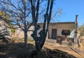 Non-developable land for sale on España, Ulldecona, ref: TR345628 photo