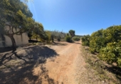 Non-developable land for sale on España, Ulldecona, ref: TR345628 photo