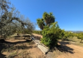 Non-developable land for sale on España, Ulldecona, ref: TR345628 photo