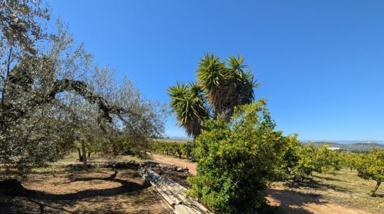 Tarragona - Ulldecona - 90m2