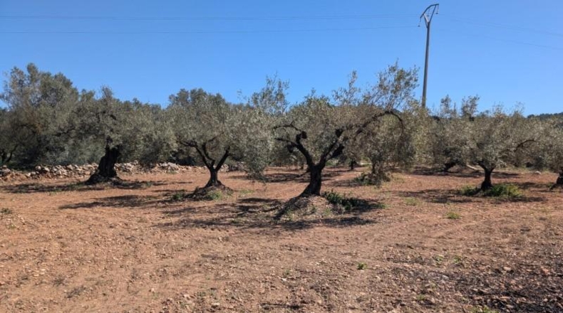 Tarragona - Ulldecona - 90m2